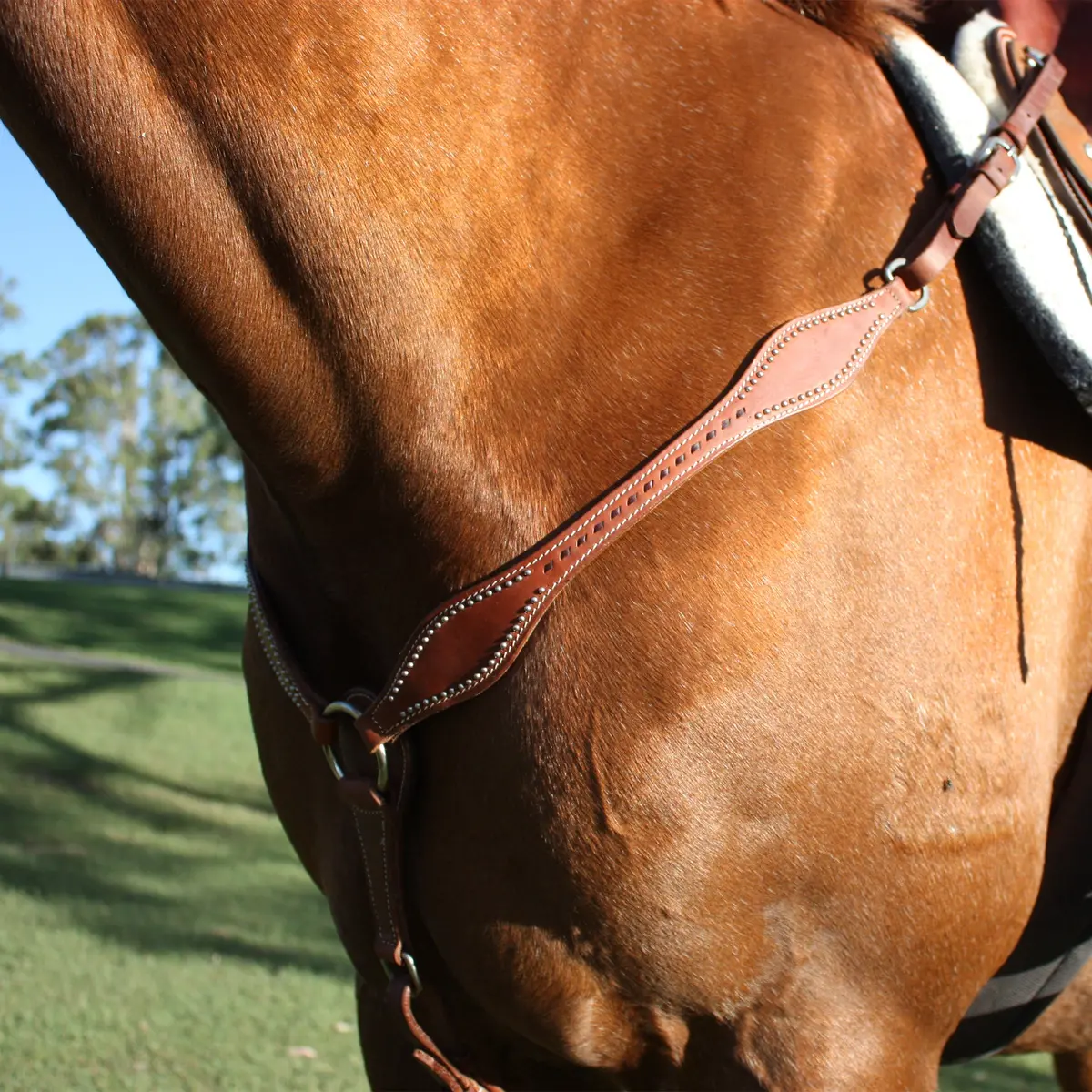 Ezy Ride Breastplate Shaped With Lace And Dots Harness Leather 1
