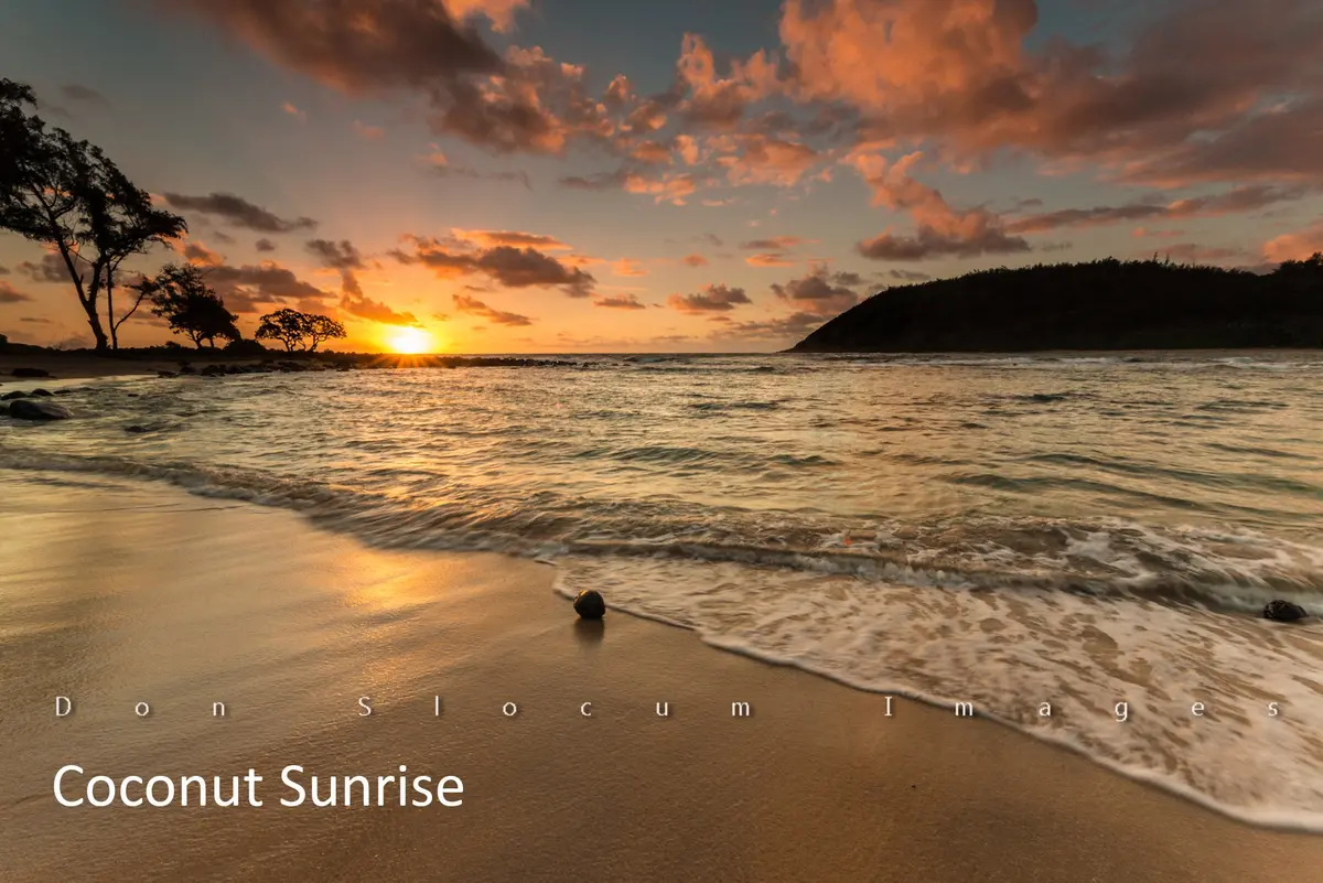 Coconut Sunrise By Don Slocum - Dons27224c 1