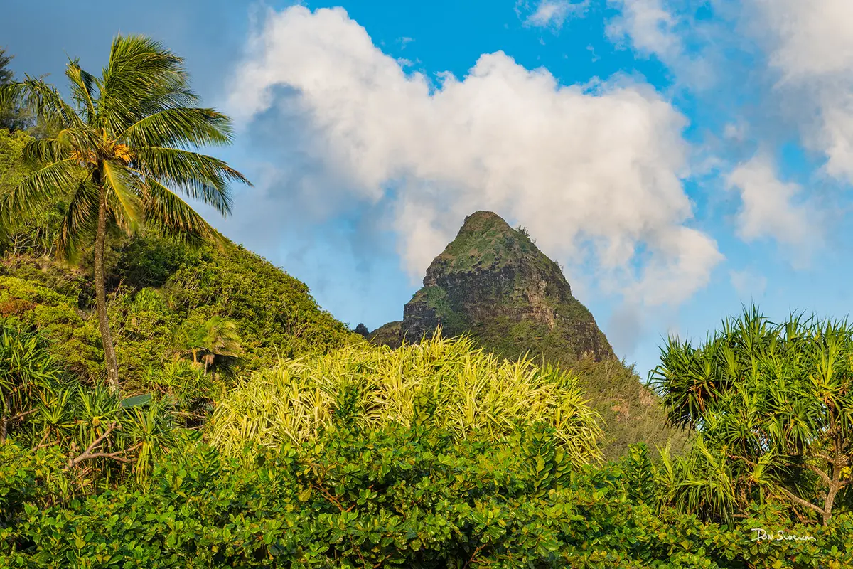 Bali High By Don Slocum 1