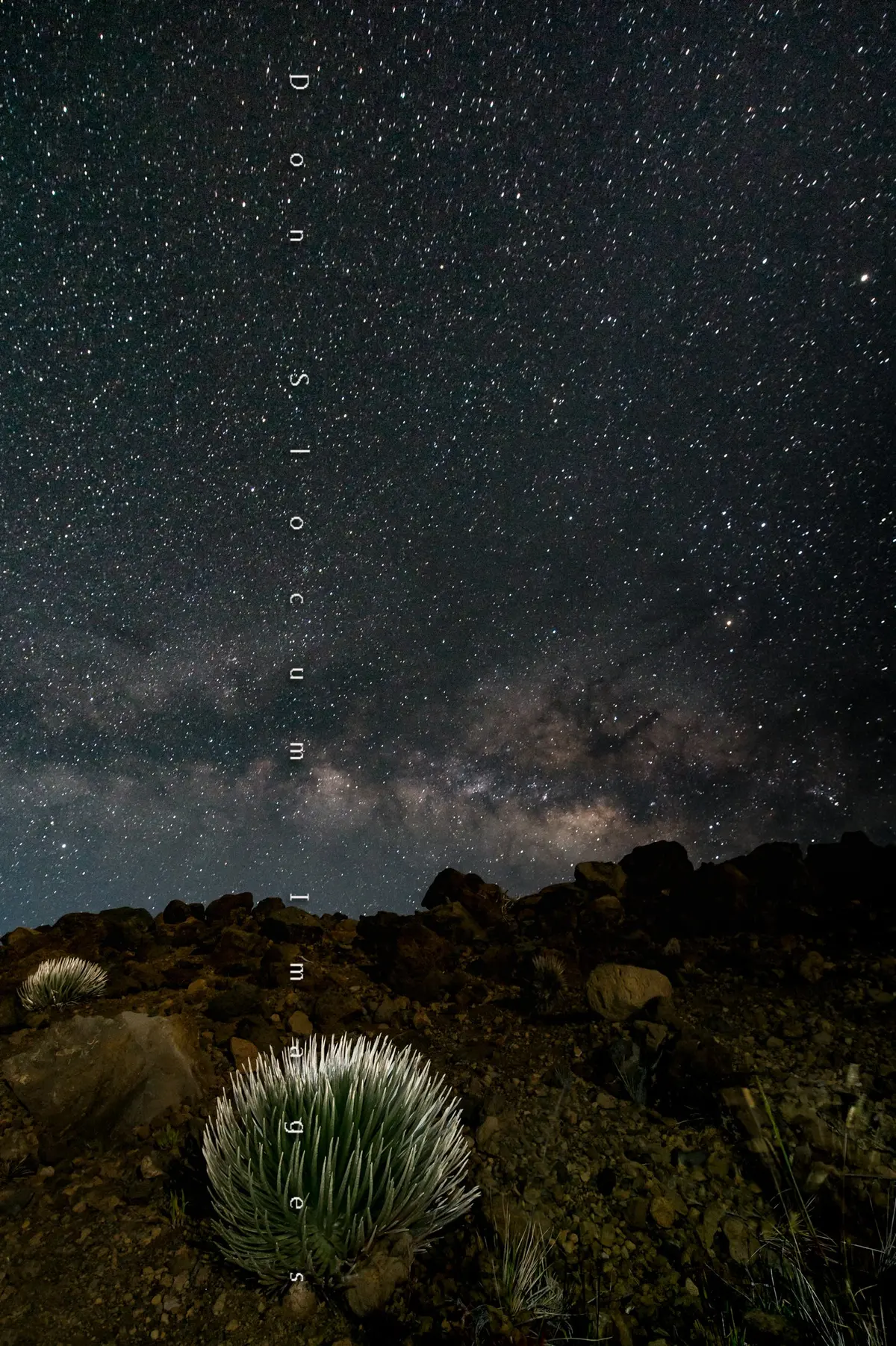 Silver Sword By Don Slocum 1