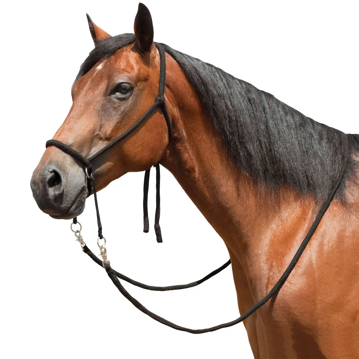 Ezy Ride Bitless Bridle Braided Brush Nylon Black 9 Ft Reins 1