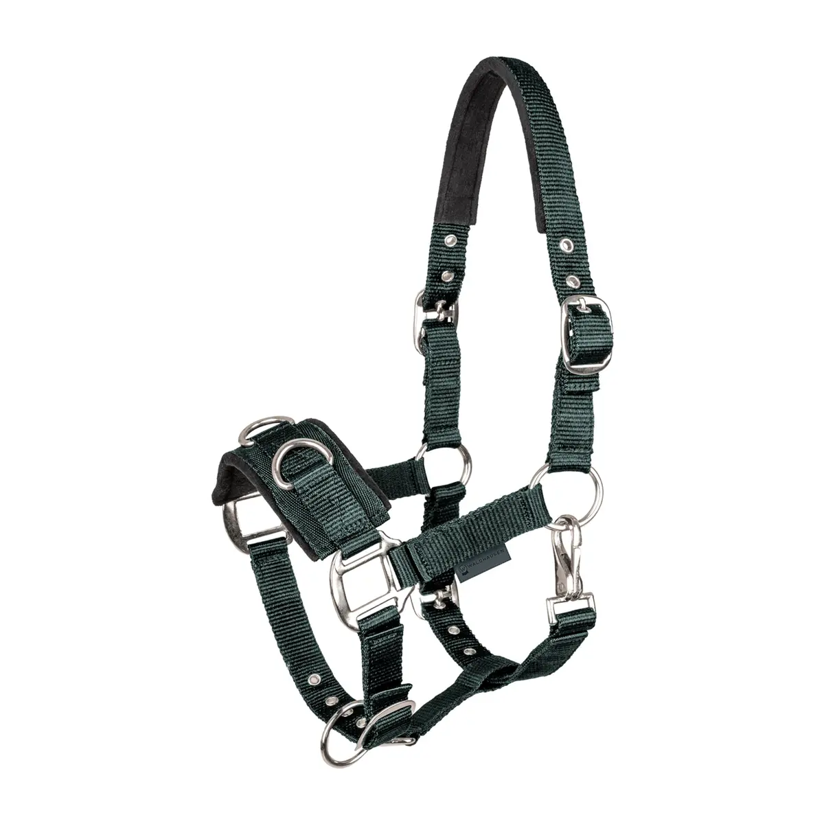 Lunging Cavesson Waldhausen Fir Green 1