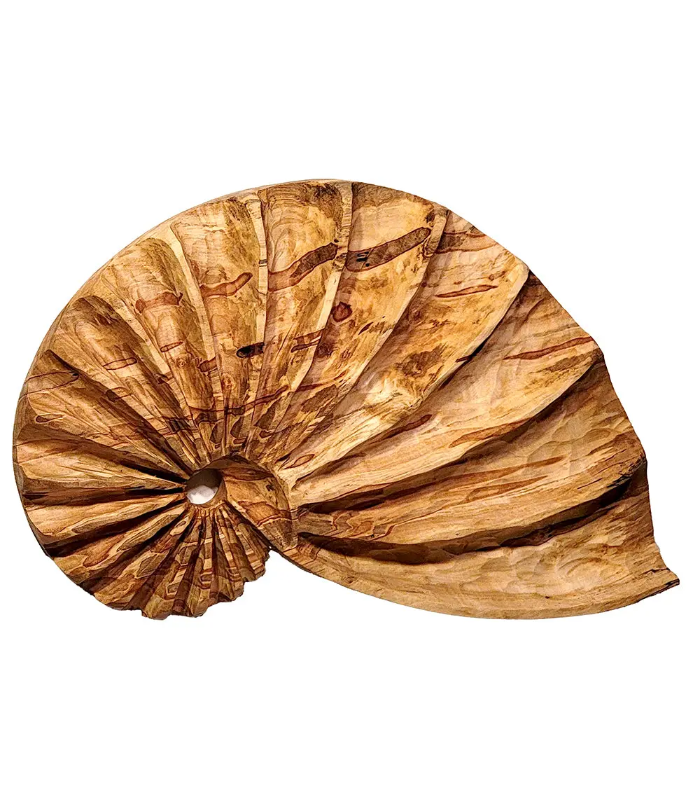 Wall Sculpture "Ambrosia Fibonacci Shell" By Andy Dipietro 1