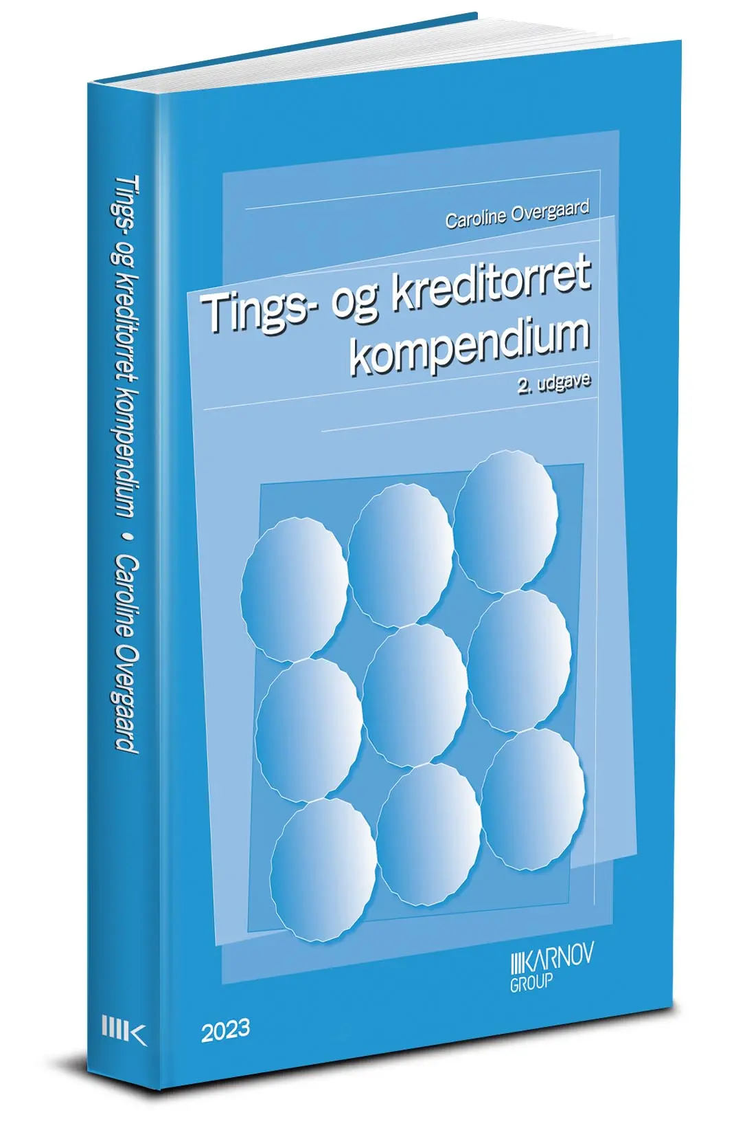 Tings- Og Kreditorret - Kompendium 1