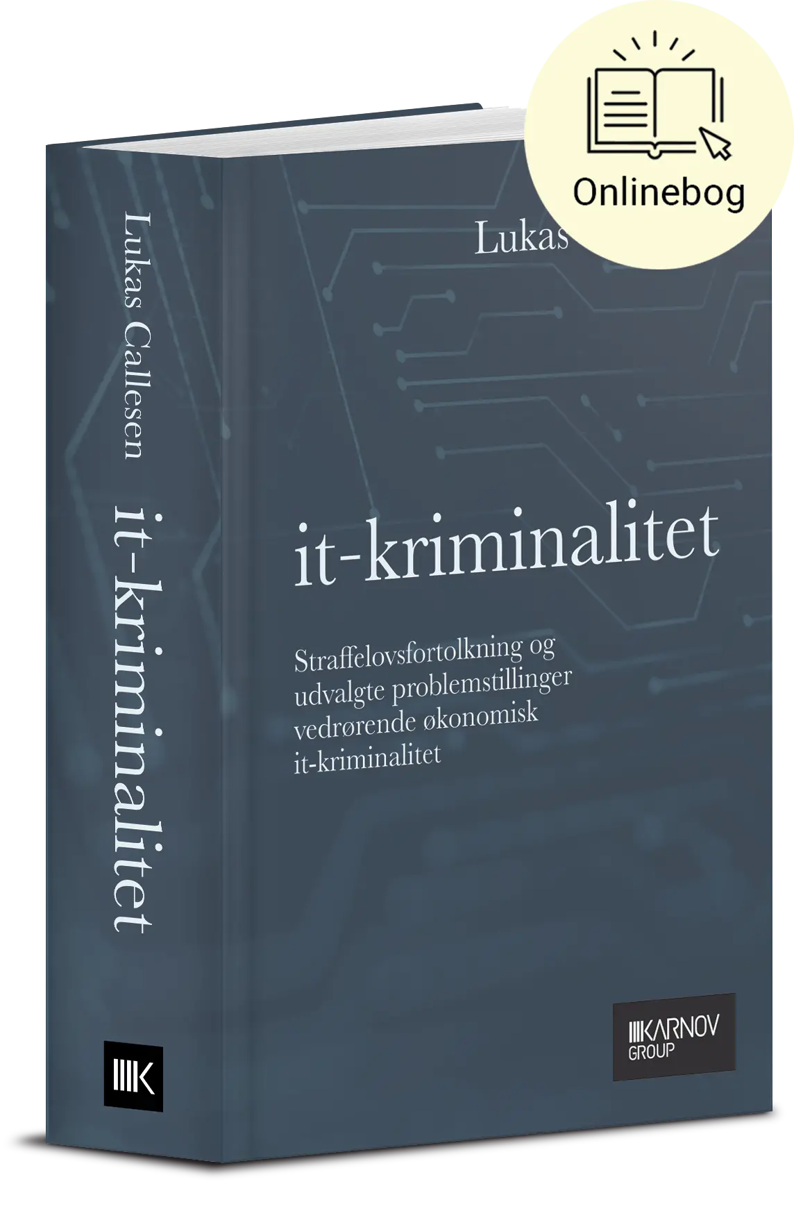It-Kriminalitet 1