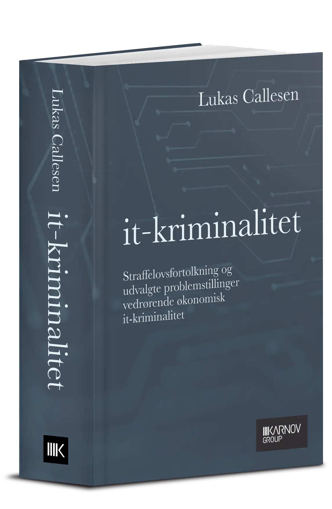 It-Kriminalitet 1