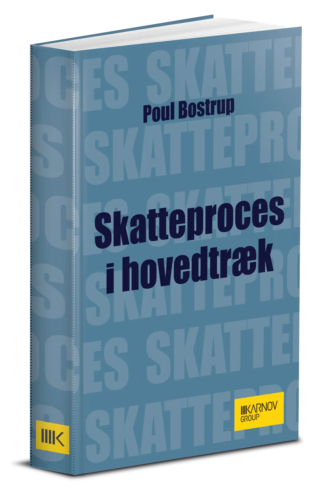 Skatteproces I Hovedtræk 1