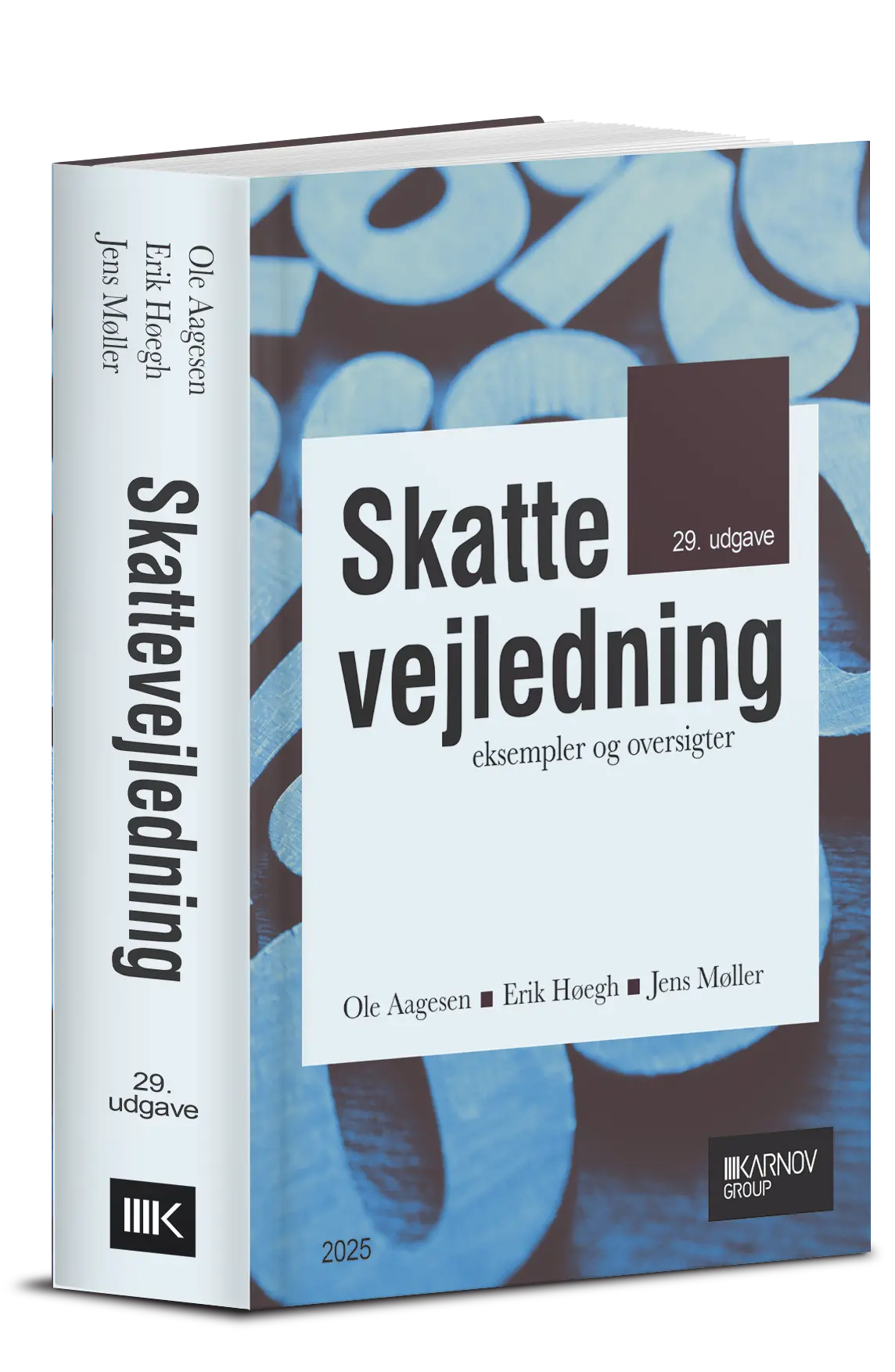 Skattevejledning 2025 - Eksempler Og Oversigter 1