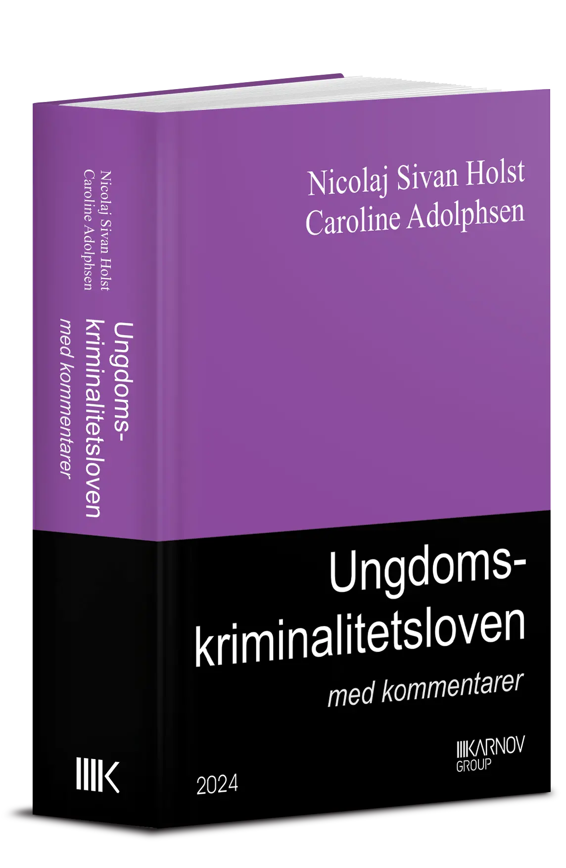 Ungdomskriminalitetsloven Med Kommentarer 1