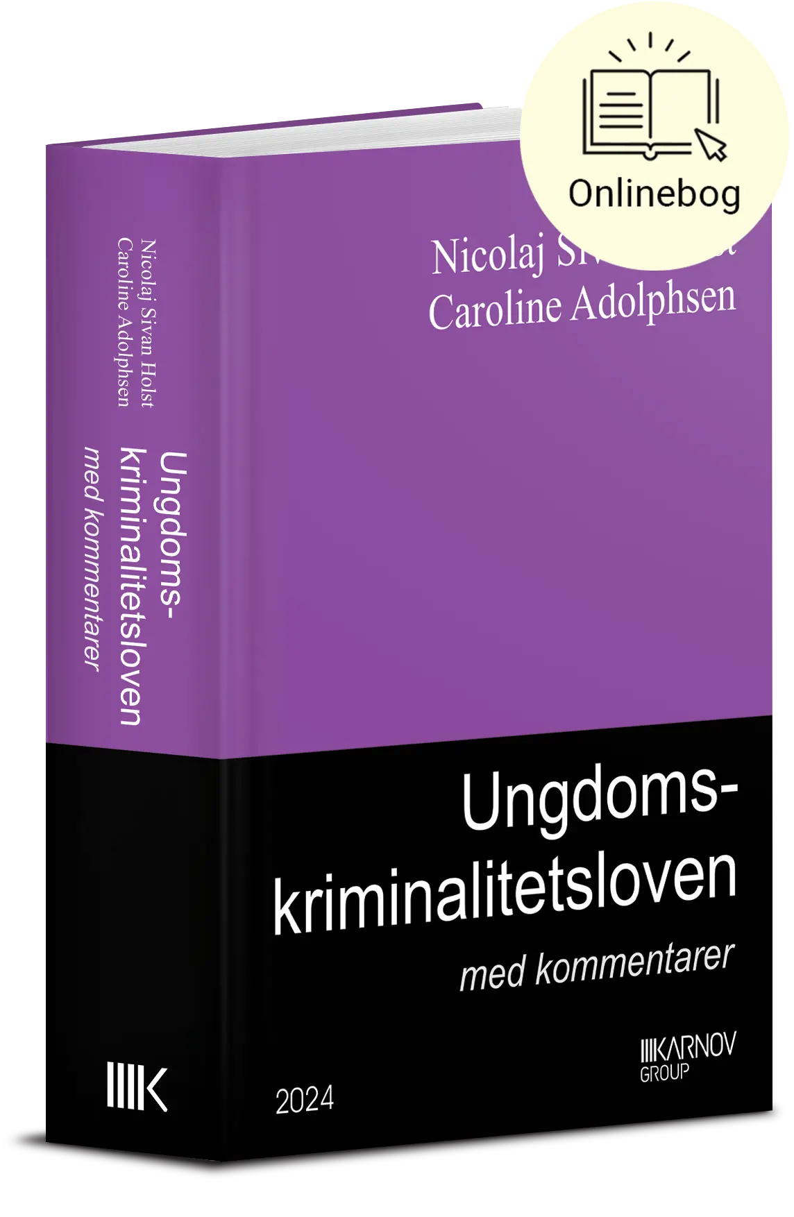 Ungdomskriminalitetsloven Med Kommentarer 1