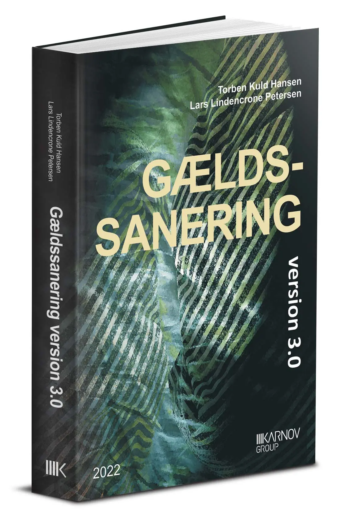 Gældssanering Version 3.0 1