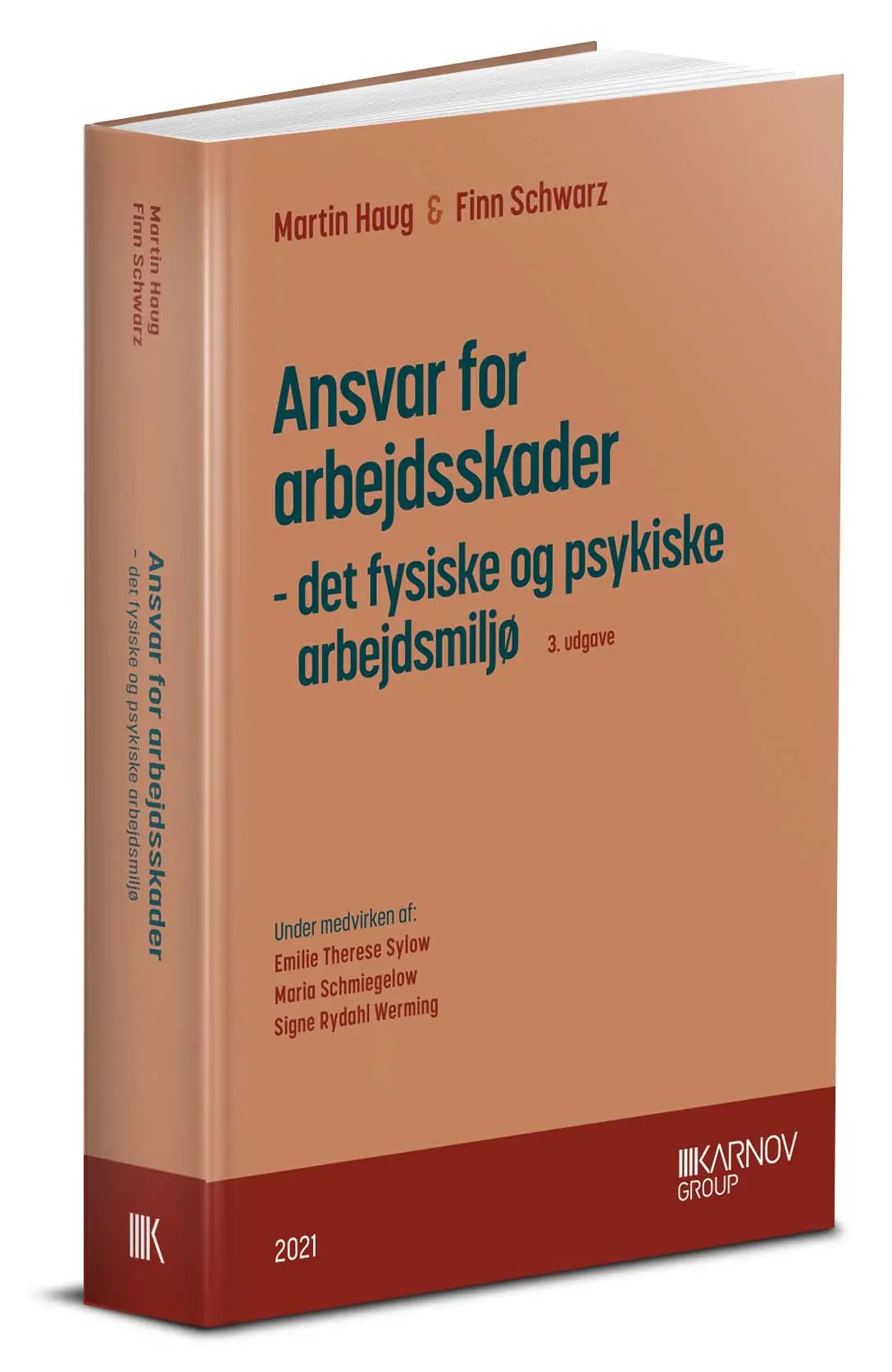 Ansvar For Arbejdsskader - Det Fysiske Og Psykiske Arbejdsmiljø 1