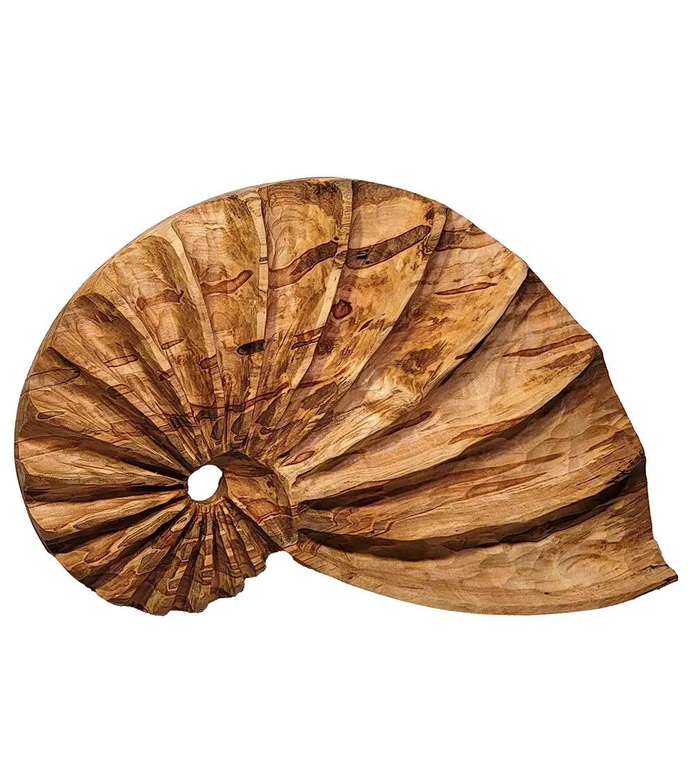 Wall Sculpture "Ambrosia Fibonacci Shell" By Andy Dipietro 2