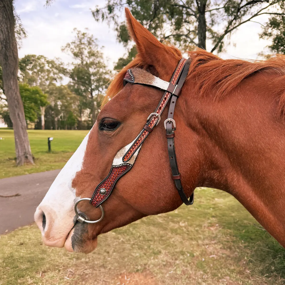 Ezy Ride Bridle With Wave Brow, Cowhide And Basket Stamping Two Tone 1