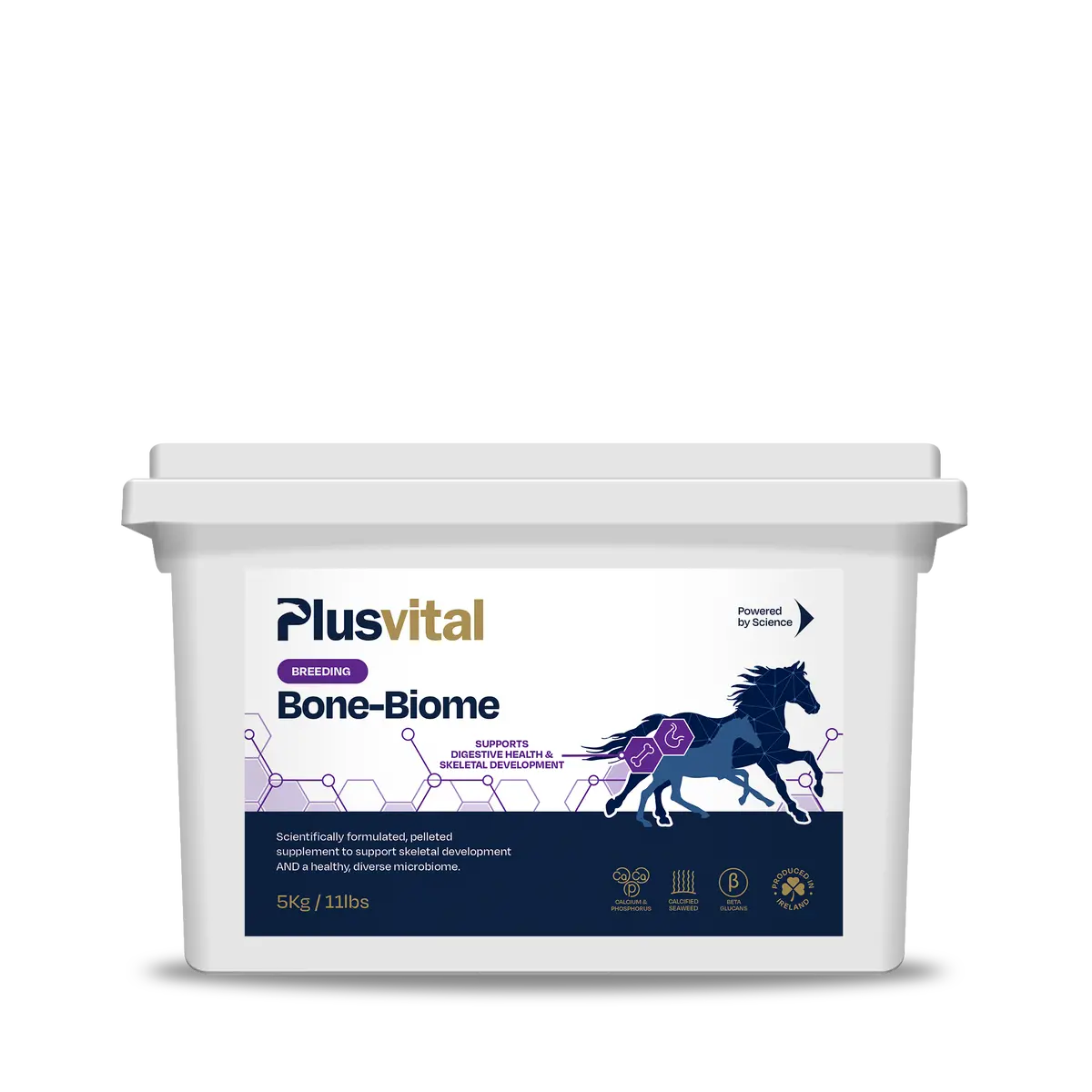 Plusvital Bone-Biome 5Kg 1