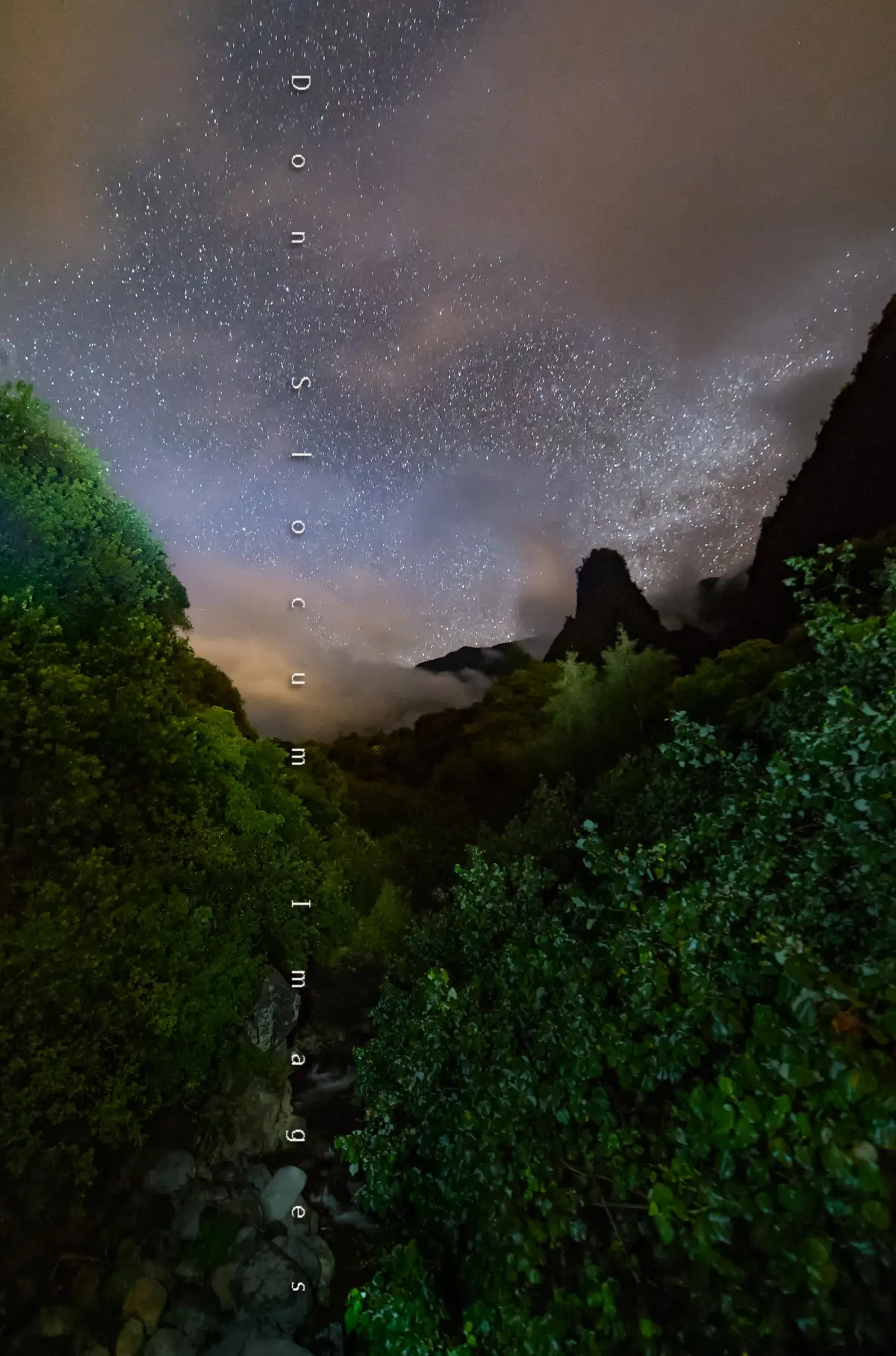 Iao Valley By Don Slocum 1