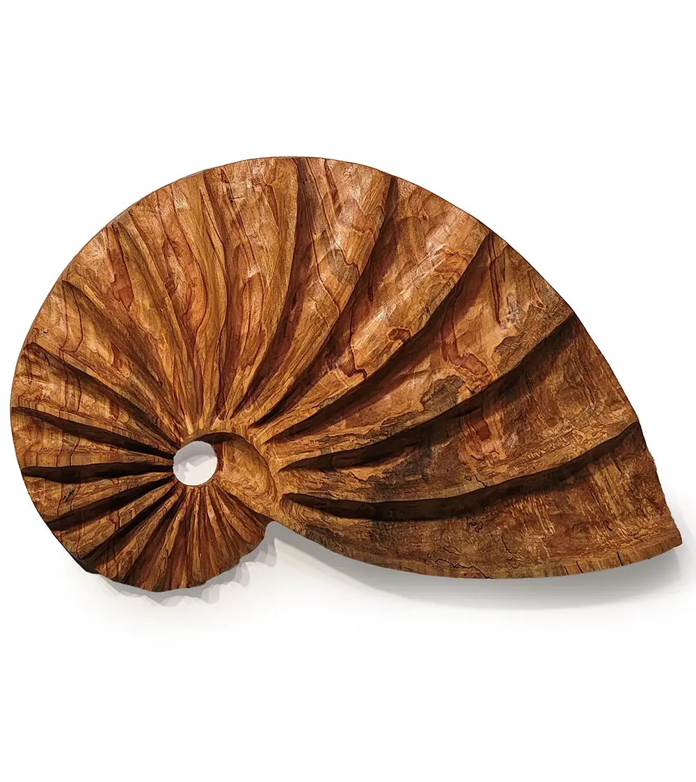 Wall Sculpture "Ambrosia Spiral" By Andy Dipietro 1