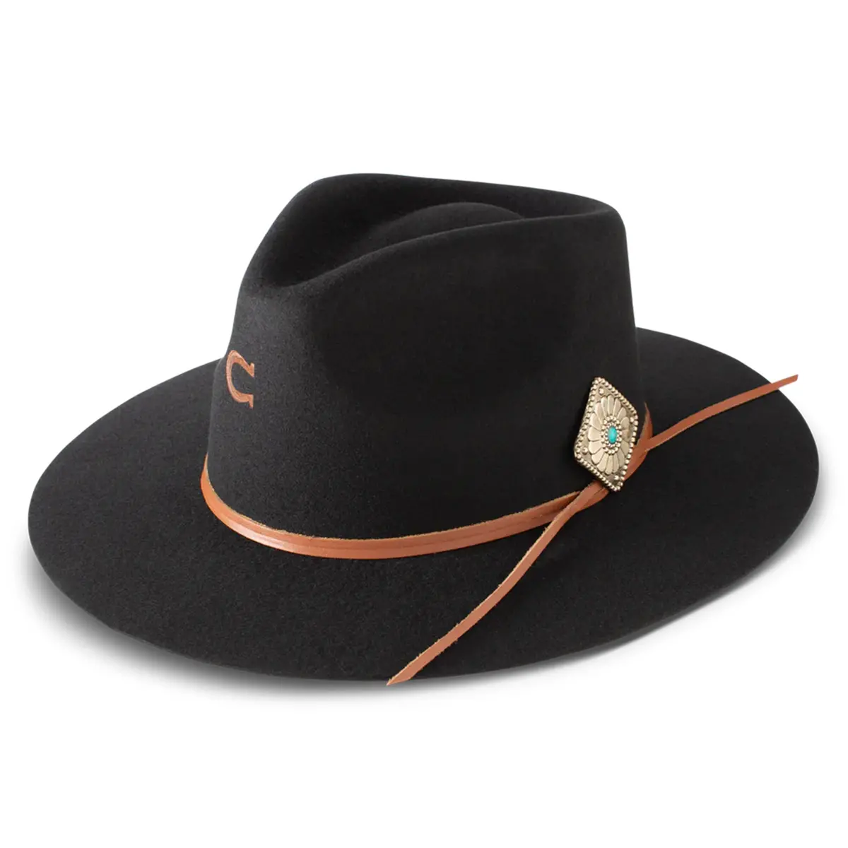 Charlie 1 Horse Lone Butte Black 1