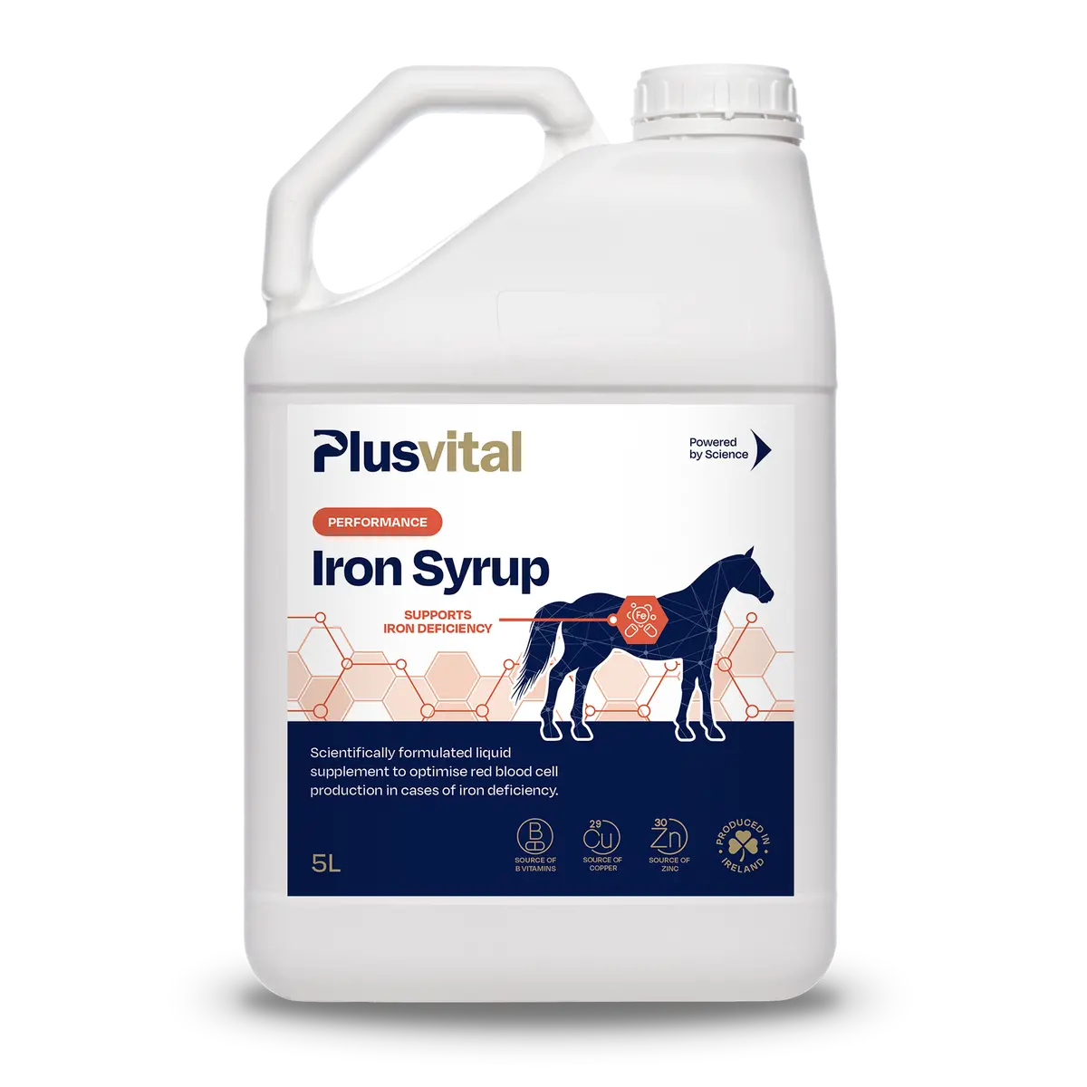 Plusvital Iron Syrup 5L 1