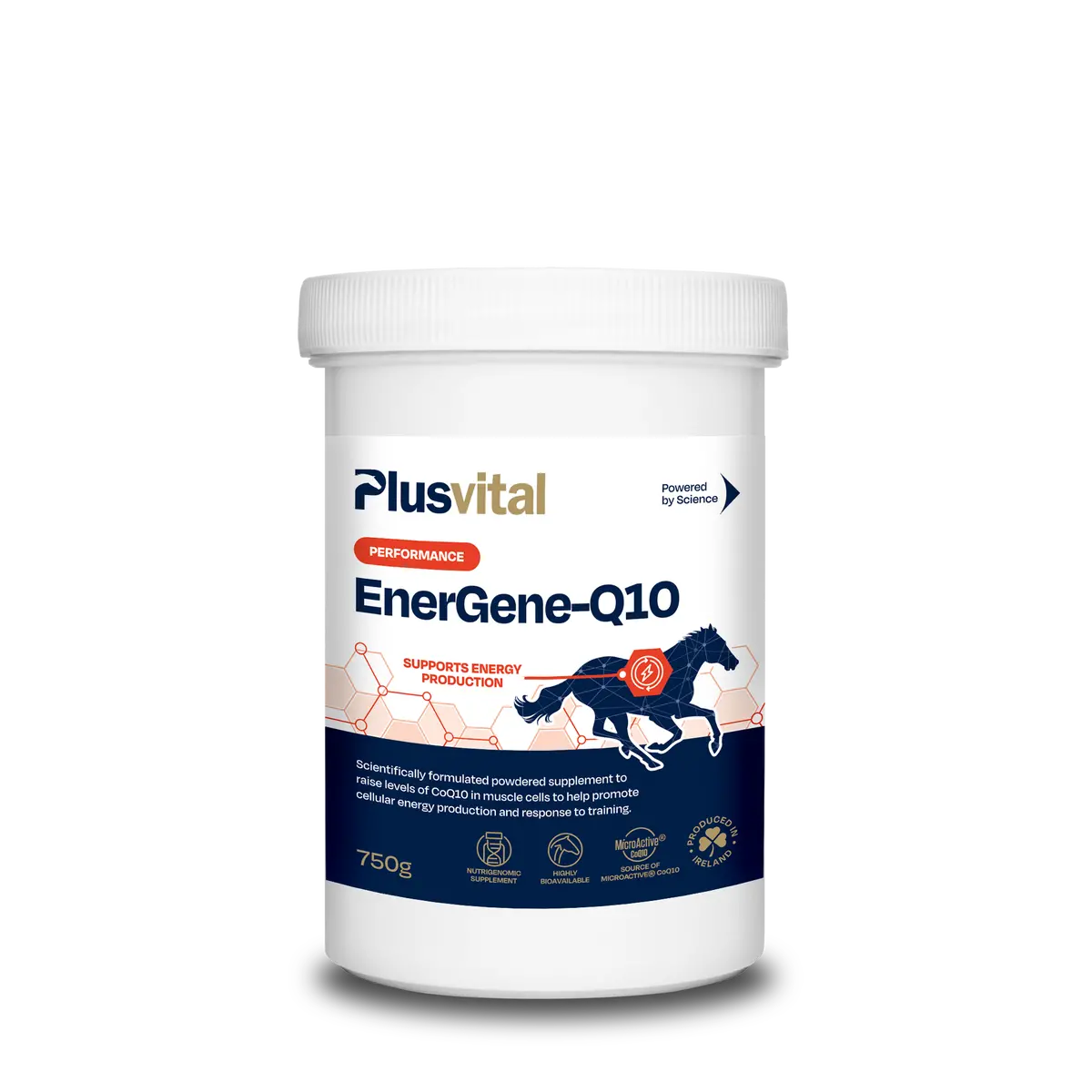 Plusvital Energene-Q10 750G 1