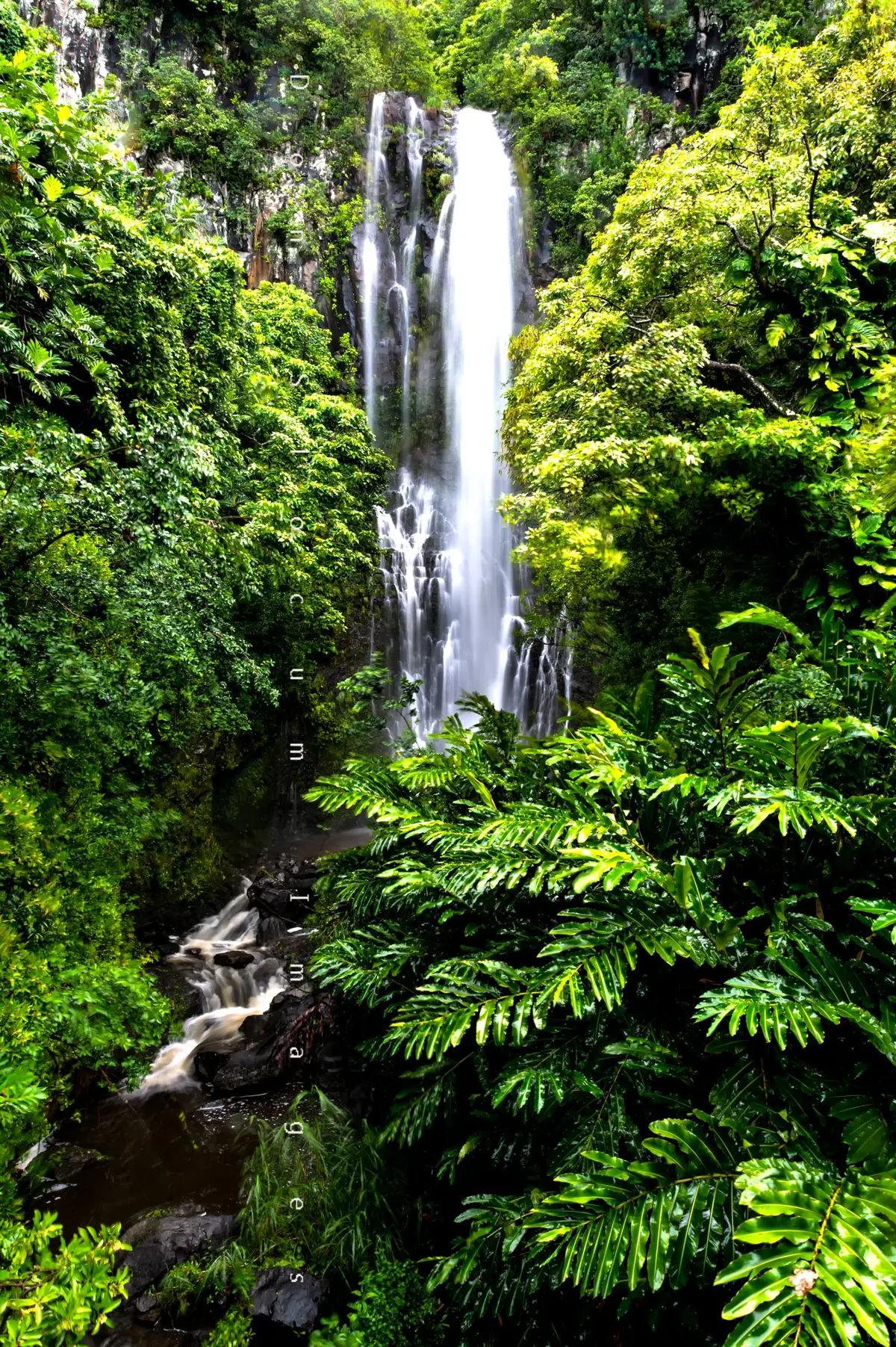 Waterfall Hana By Don Slocum 1
