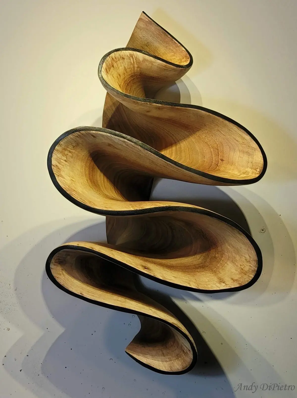 Carved Sculpture "Walnut Ribbon" By Andy Dipietro 1