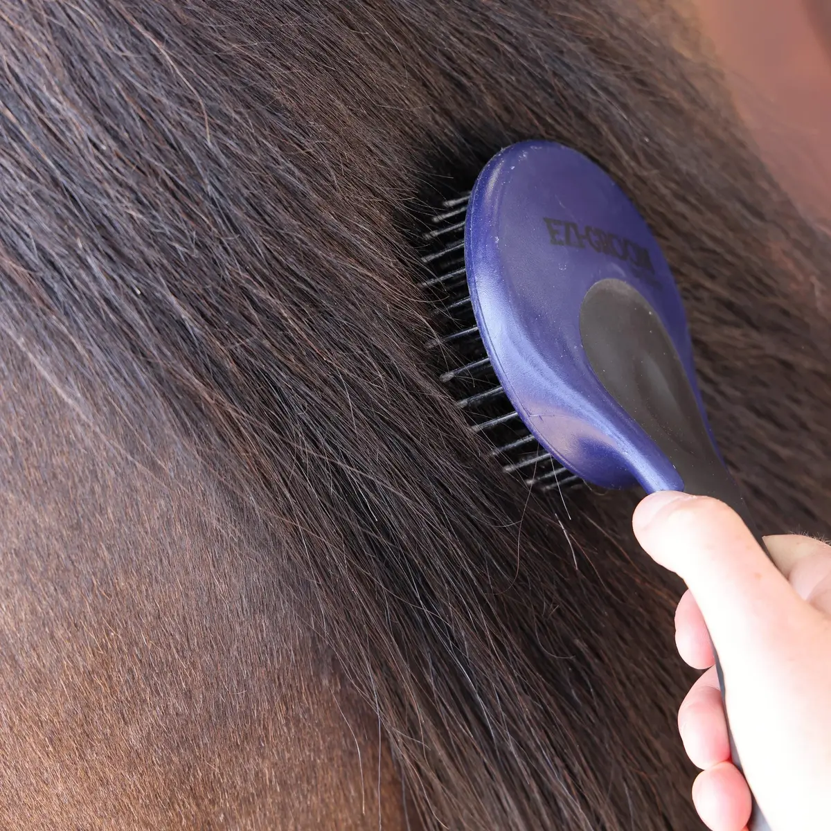 Shires Ezi-Groom Grip Mane & Tail Brush One Size 220Mm Long 3