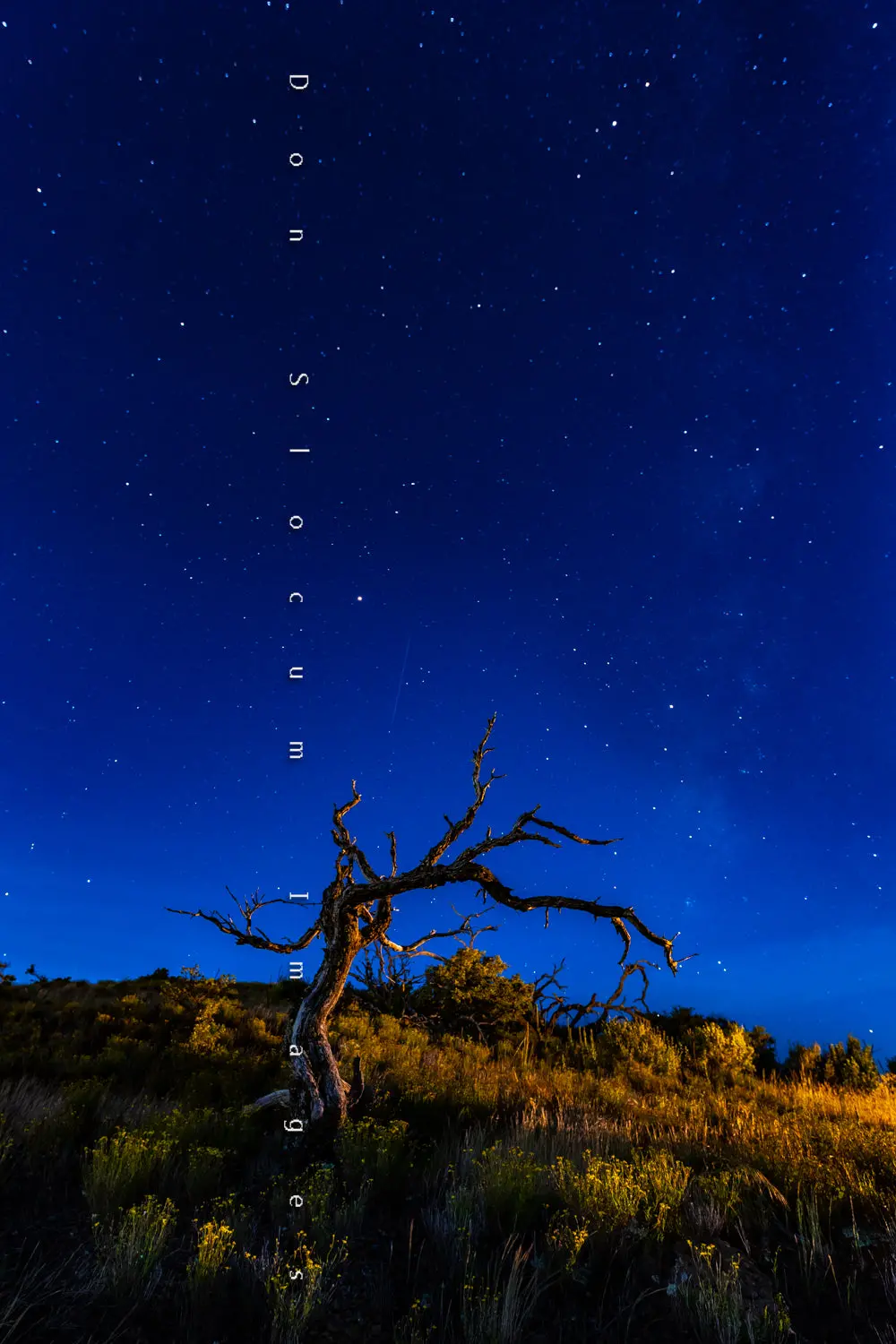 Sometimes I Stay Out All Night By Don Slocum 1