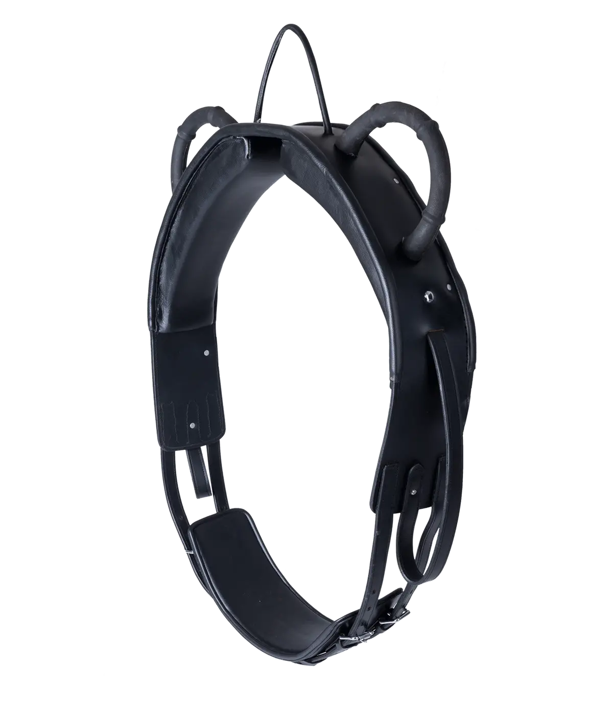 Waldhausen Competition Vaulting & Lunging Surcingle Black Full 1