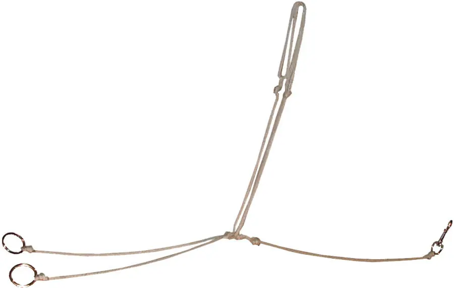 Ezy Ride String Martingale 1