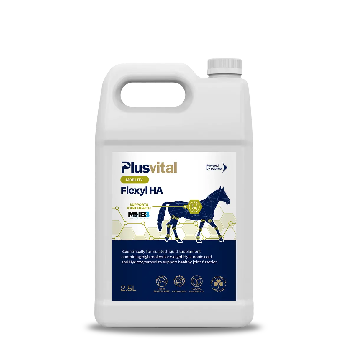 Plusvital Flexyl Ha 2.5L 1