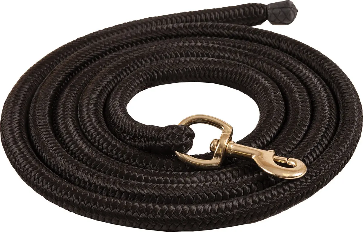 Ezy Ride Bungee Lead 3/4" X 9' Black 1