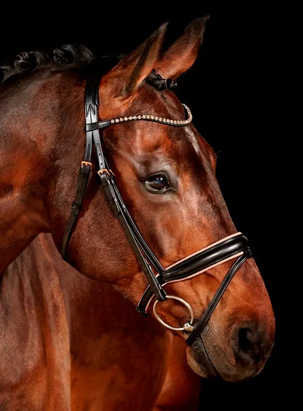 Waldhausen Bridle Xline Rose Gold 2