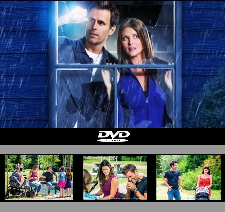 Along Came A Nanny Dvd Movie 2014 Cameron Mathison 1