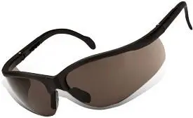 Tork Craft Safety Eyewear Glasses 1