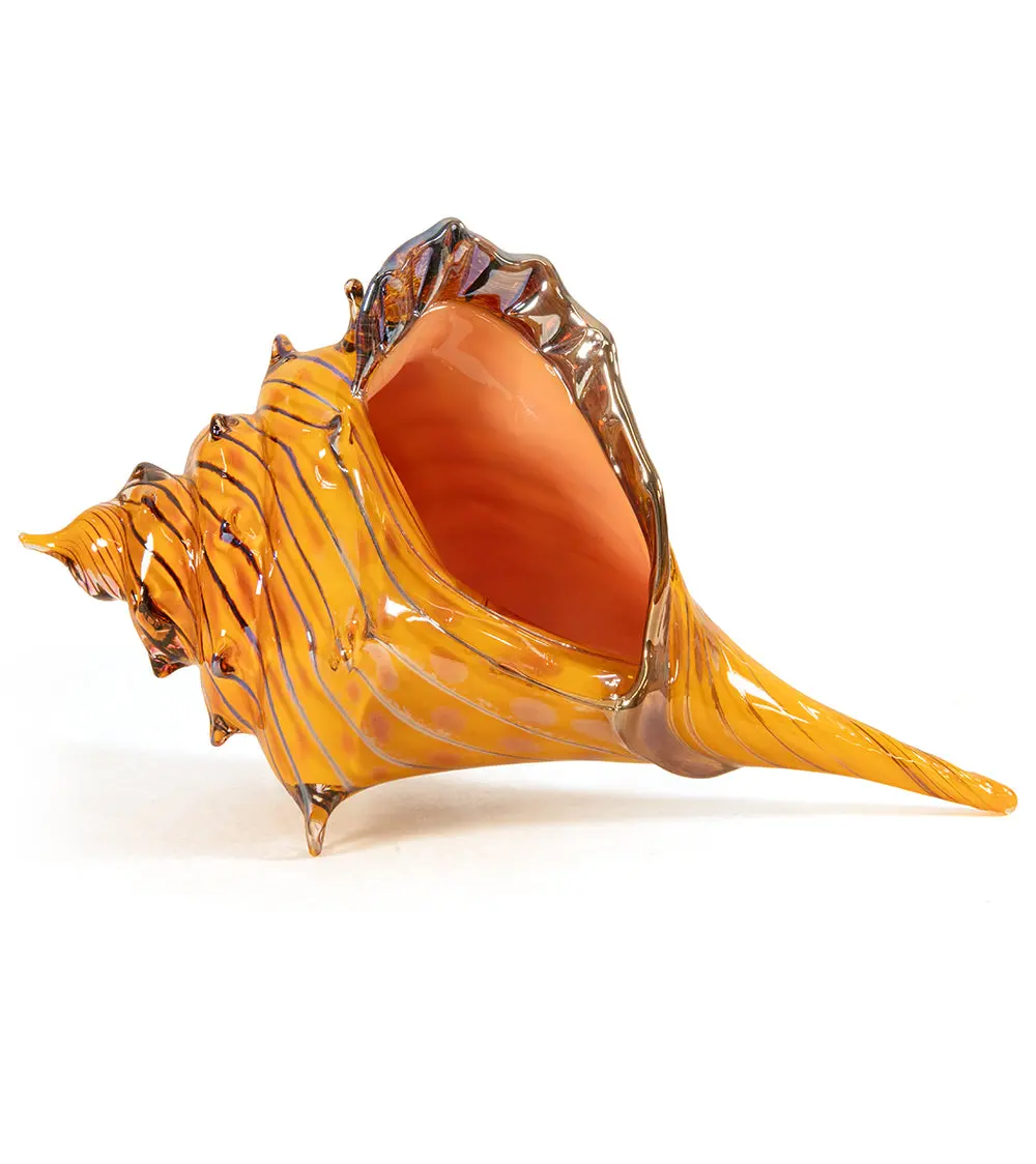 Glass Sculpture "Conch Shell Coral" By Ben Silver 1
