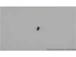 Ctw-Ptw Hop Adjuster Screw 1