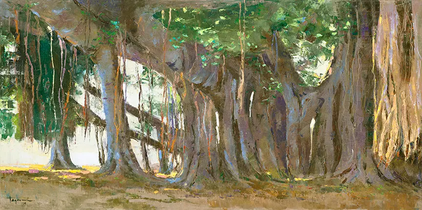 Banyan In The Zoo 1979 By Hiroshi Tagami 1