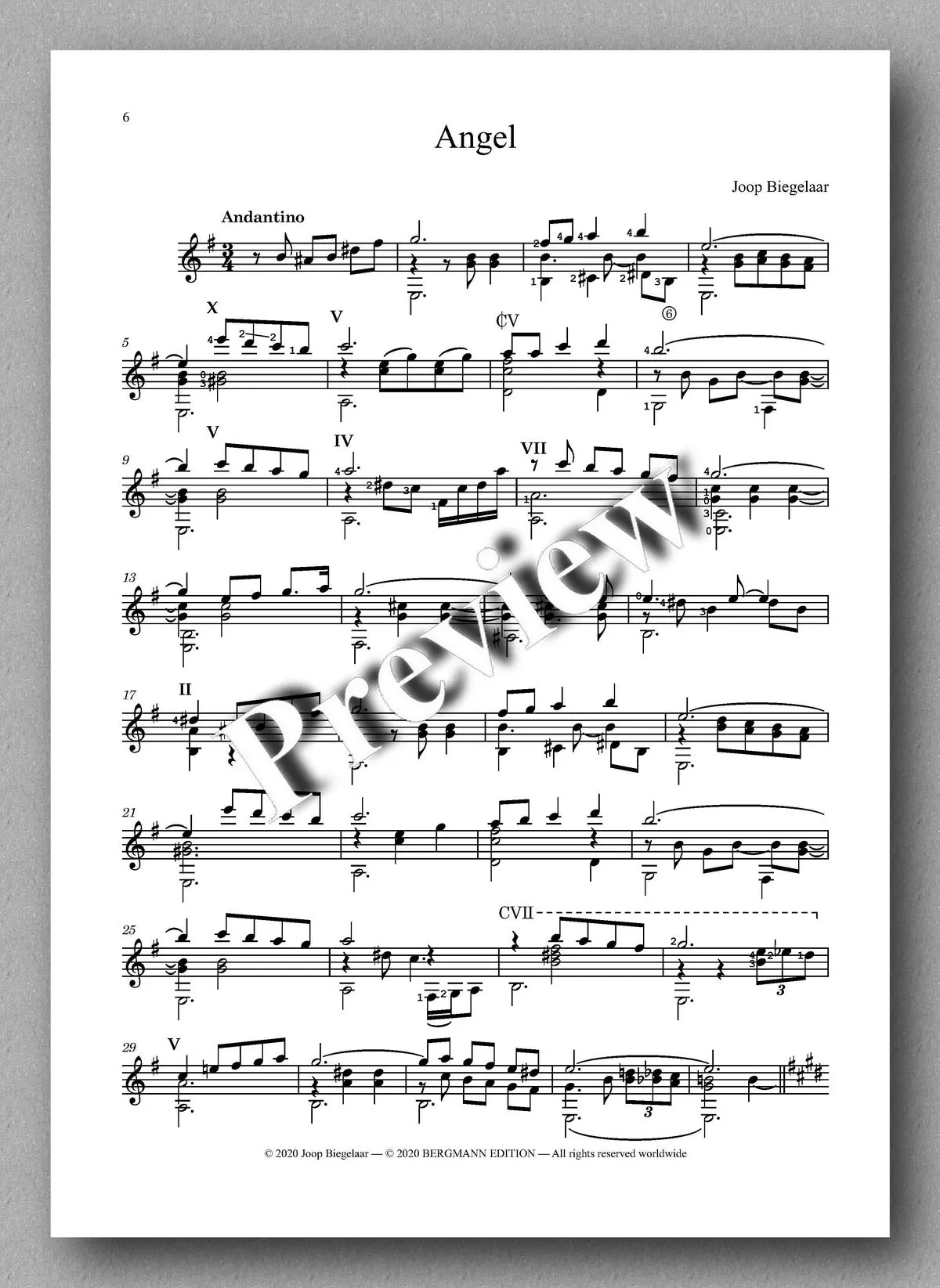 Biegelaar, An Eclectic Variety Of Guitar Compositions 2