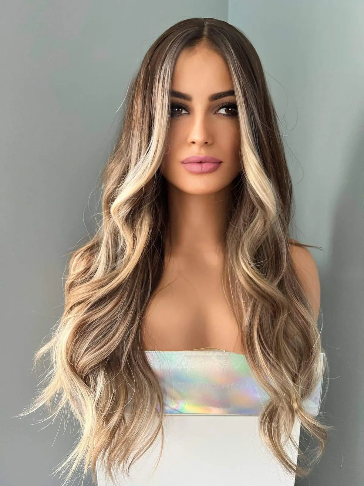 Brianna Long Brown Wig With Highlights 1