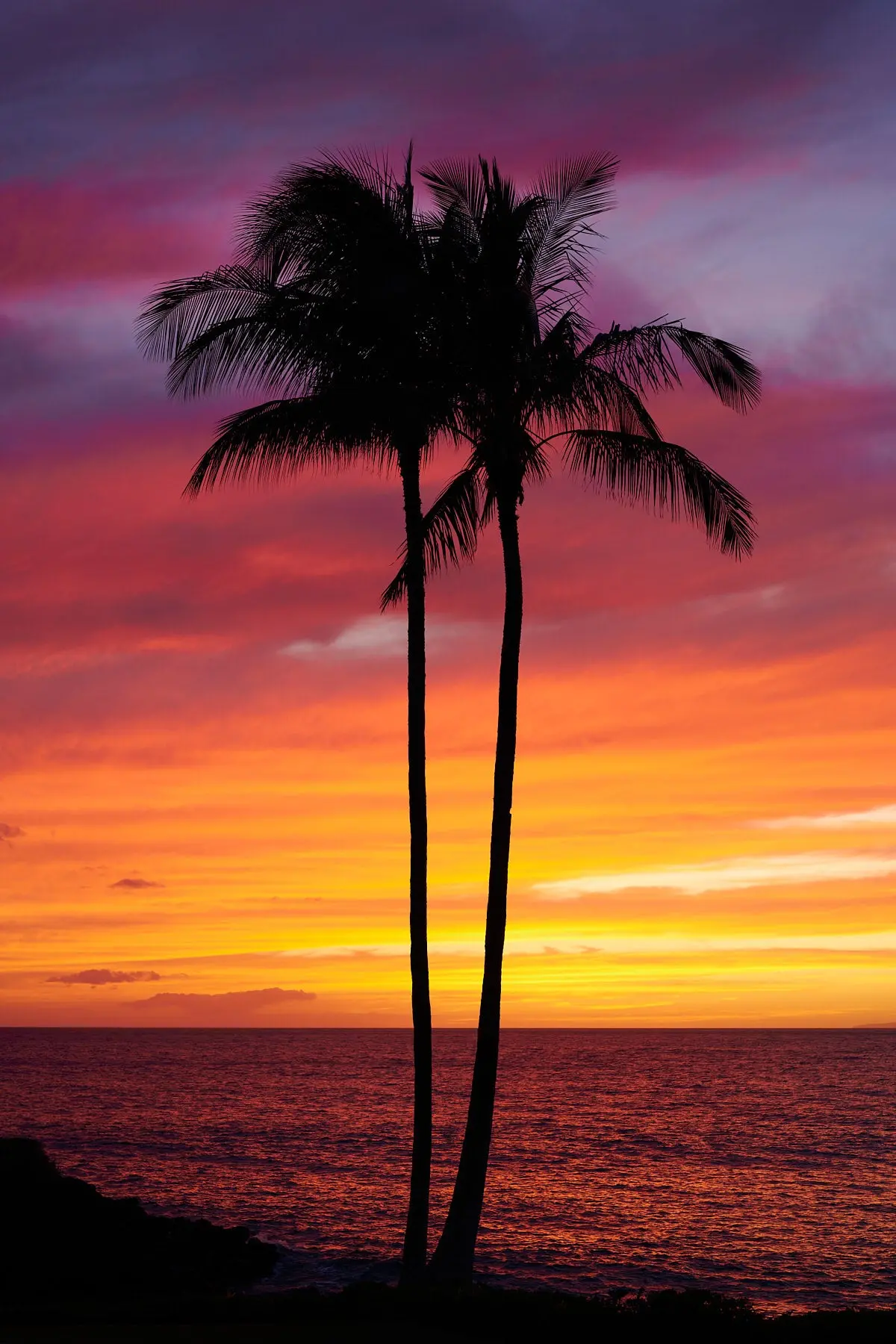 Burning Love By Andrew Shoemaker 1