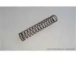 Ctw-Ptw Piston Head Guide Spring 1