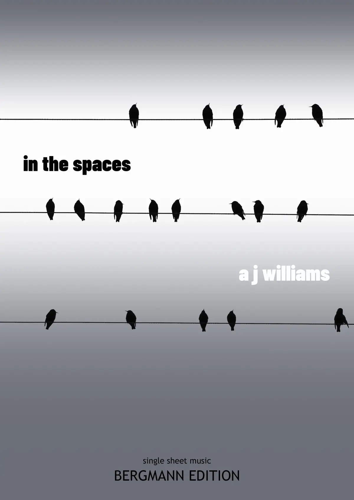 A J Williams, In The Spaces 1