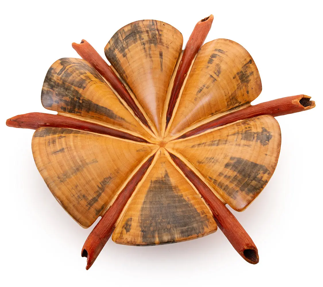 Norfolk Pine Wood Sculpture "Sand Dollar Iv" By Dan Stevenson 2