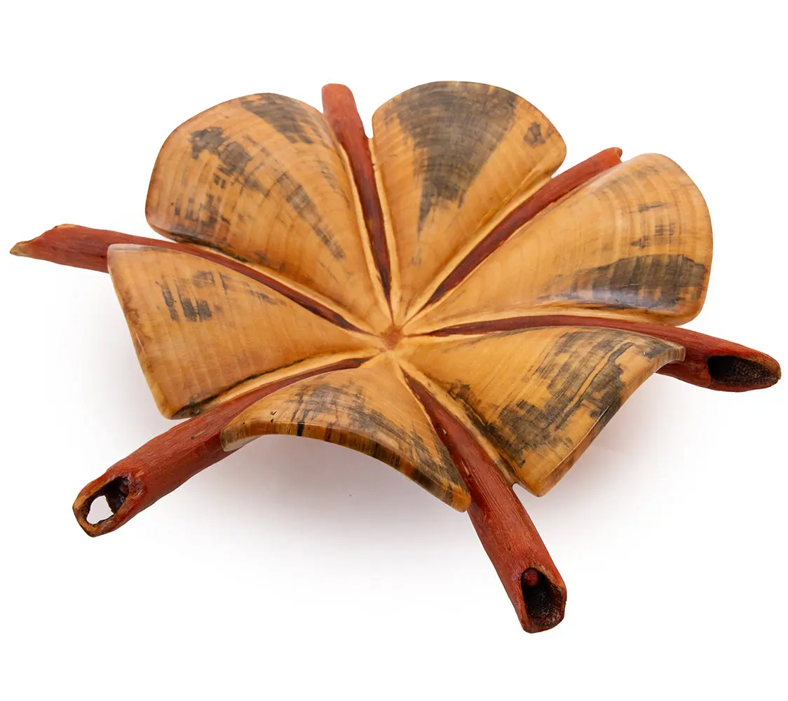 Norfolk Pine Wood Sculpture "Sand Dollar Iv" By Dan Stevenson 1