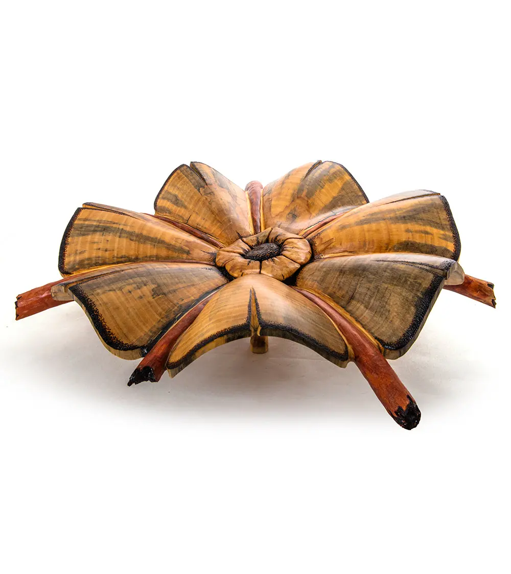 Norfolk Pine Wood Sculpture "Flora Flora" By Dan Stevenson 2