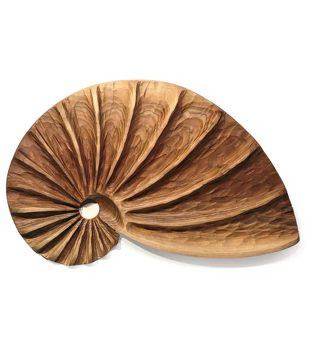 Wall Sculpture "Bleached Walnut Fibonacci Shell" By Andy Dipietro 1