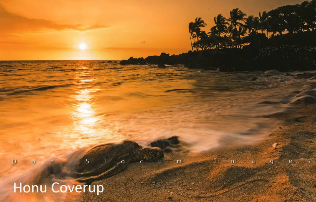 Honu Cover Up By Don Slocum 1