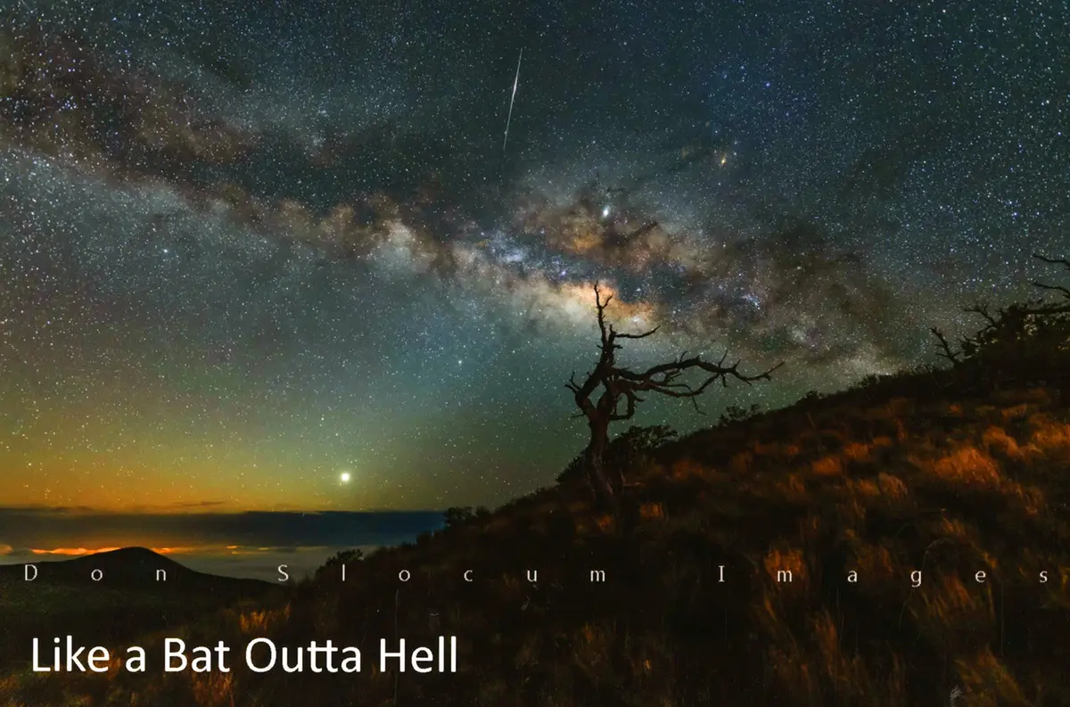 Like A Bat Outta Hell By Don Slocum 1