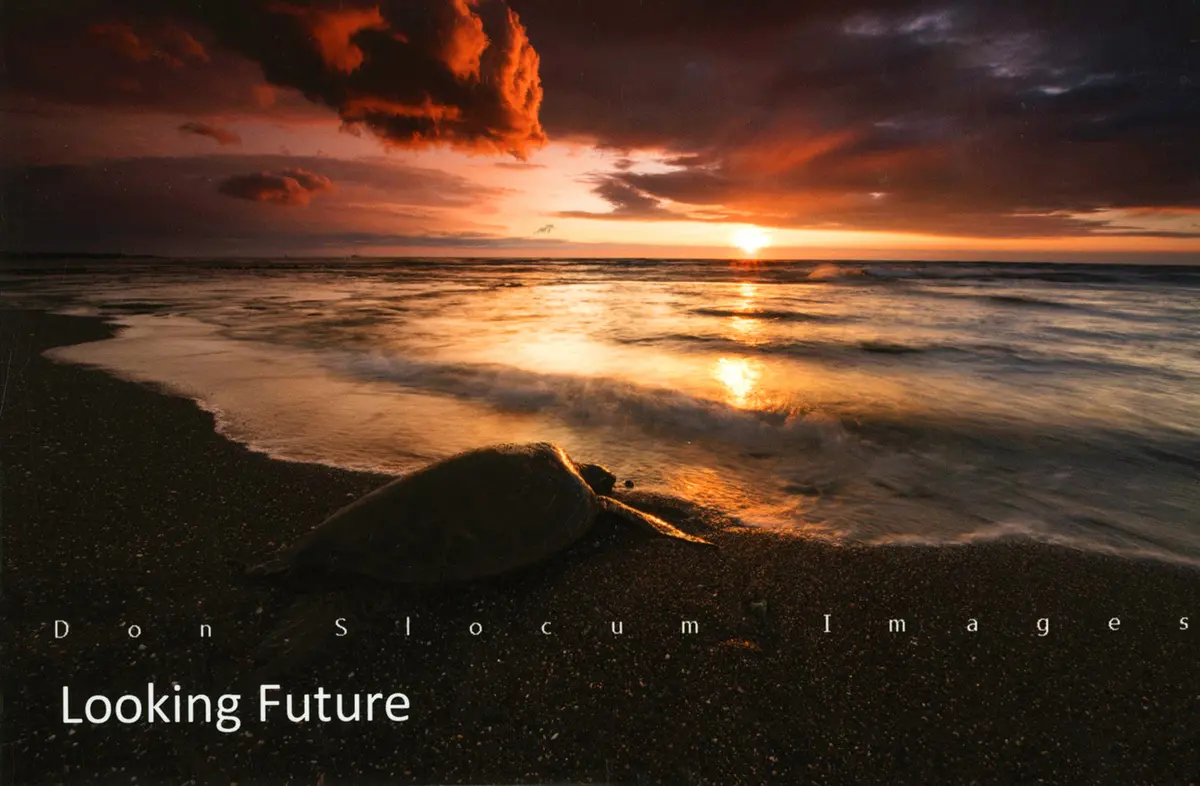 Looking Future By Don Slocum 1
